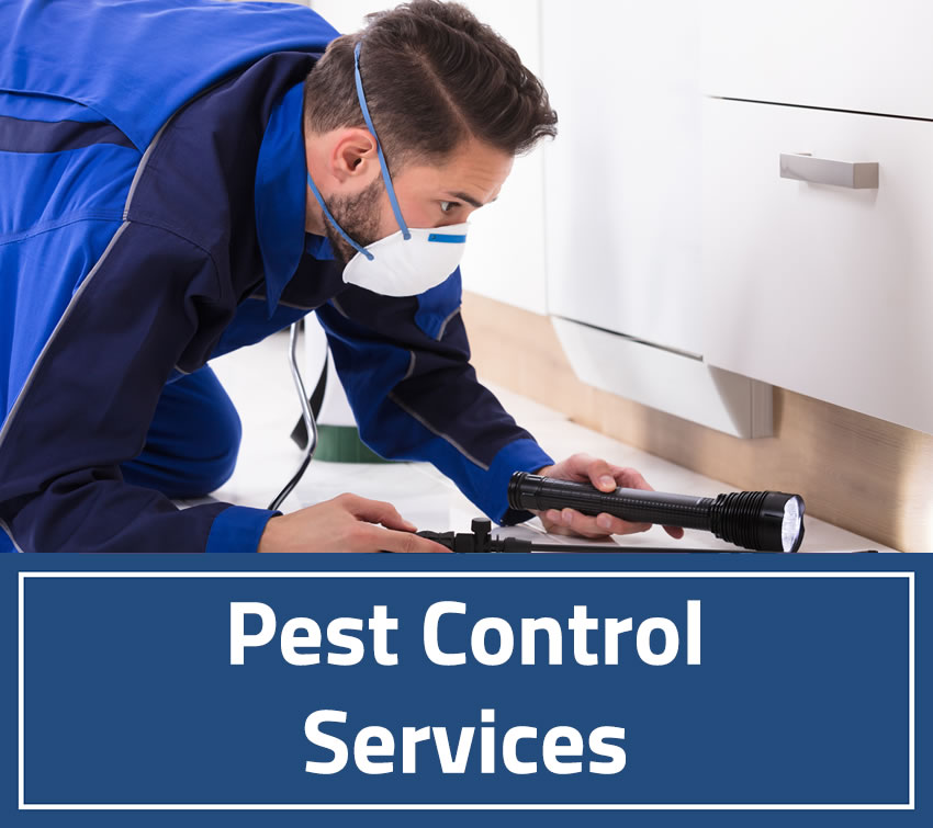 Pest Control Services